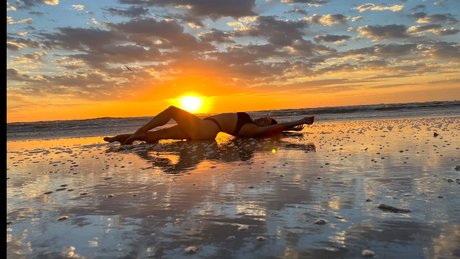 Golden Bunny HDポルノスター アーカイブ