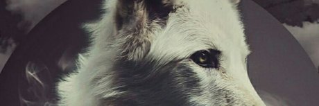 Happy Mod ポルノスター エロティック 画像