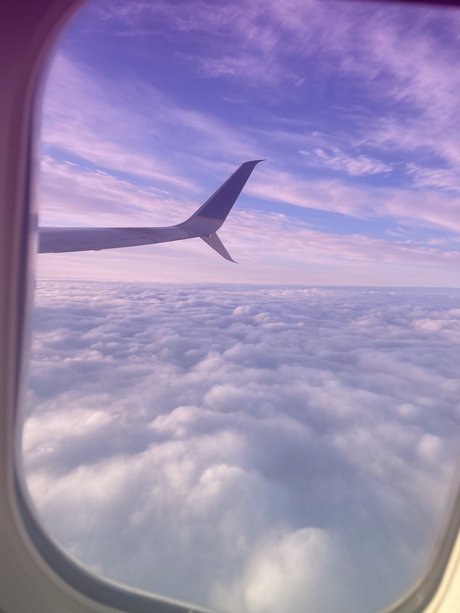 Kingcalebmc ポルノスター 美しい 写真