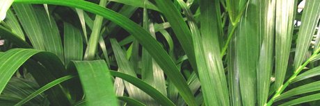 Eduardo Bailon 高品質モデル ギャラリー