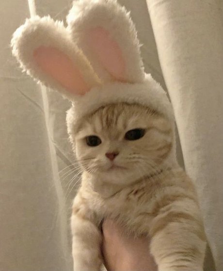 nuriadelavega ポルノモデル 写真