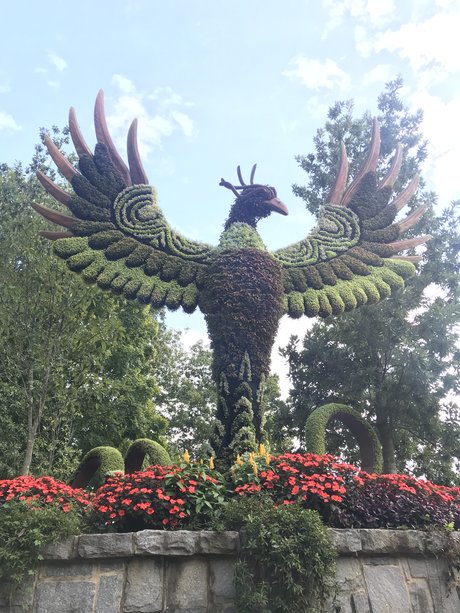 Certified Lover Boy 素敵なスター 写真