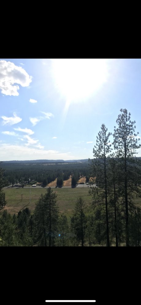 hmmmmmm 完璧なポルノスター 写真