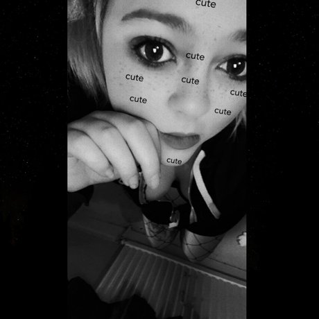 Wiggles 素敵なスター 写真