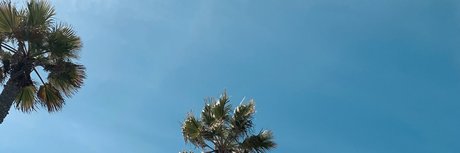 Cris y los Dinos ホットなスター 写真