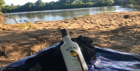 Halo トップモデル ギャラリー