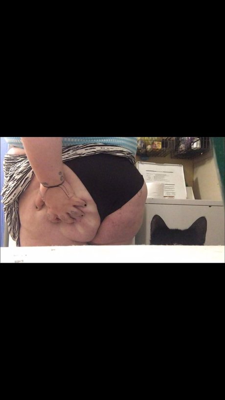 Greyson 美しいスター アーカイブ