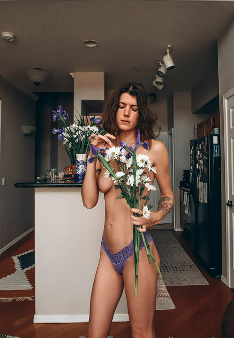 Taratea スター xxx 写真