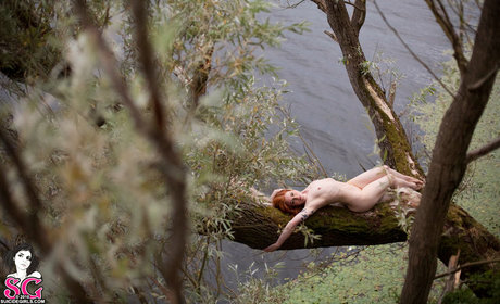 Annalee ポルノスター 独占 写真