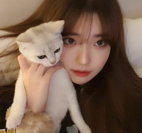 Se Yeon アダルトスター 写真