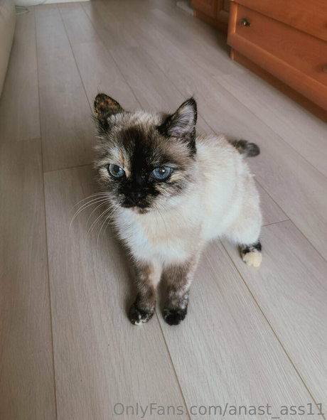 ゴスアジアンOnlyFans 美しいポルノ 画像