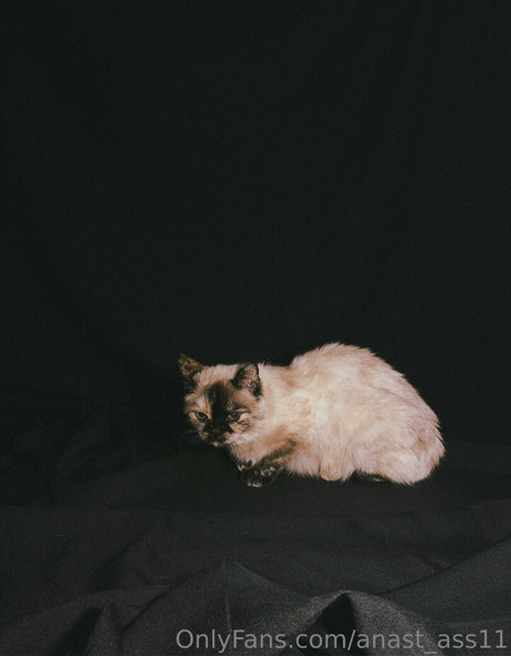 小さいチンポOnlyFans ヌード 画像