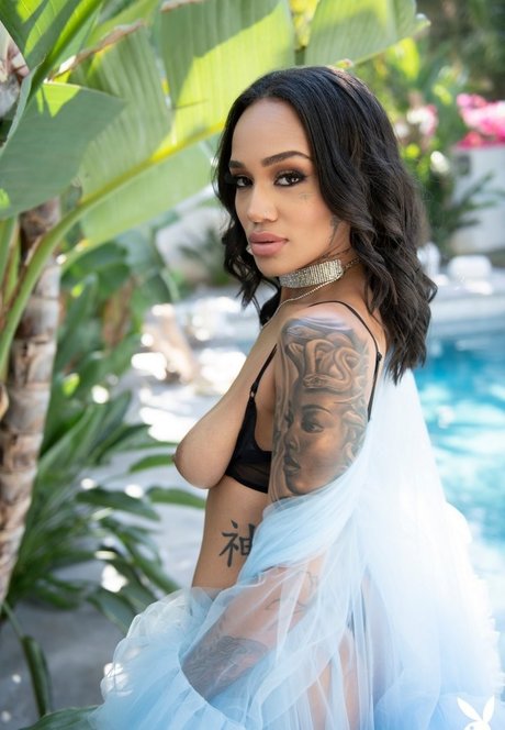 Julie Kay 美しいスター 写真