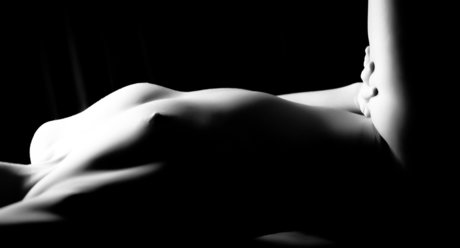 BaileyBrews 完璧なスター アーカイブ