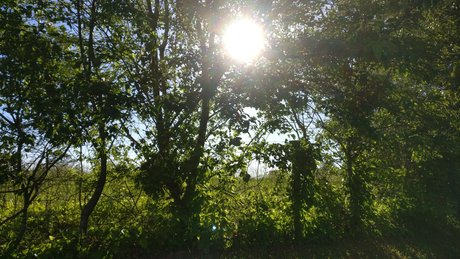 Muro かわいいポルノスター 写真