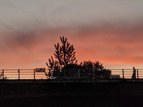 Skylar Rain 独占モデル アーカイブ