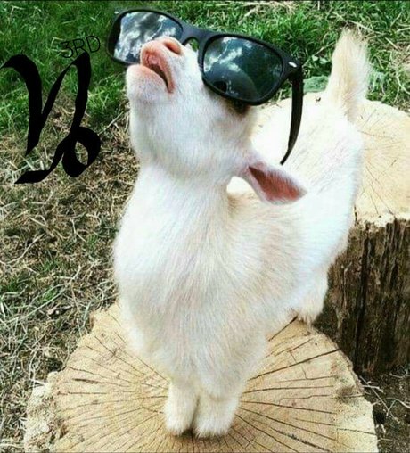 Itwontcookitsself トップポルノスター 写真