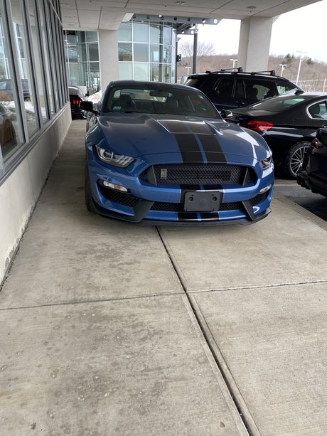 J C ヌード女優 写真