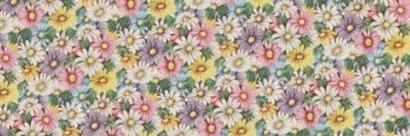 Claire Taylor HDモデル ギャラリー