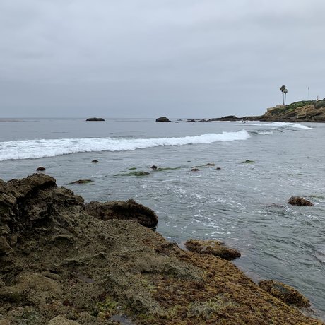 Stella St Clair ポルノスター アダルト 写真