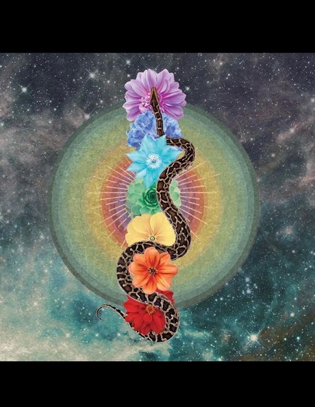 PhoenixRhysing ポルノスター 素敵 写真