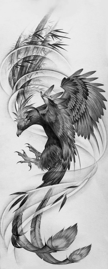 Charlie Agyva セックスモデル ギャラリー