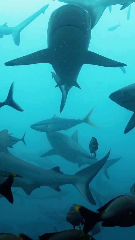 アナルビデオOnlyFans セクシーxxx 写真