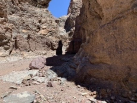 Stuart ポルノスター セクシー 画像