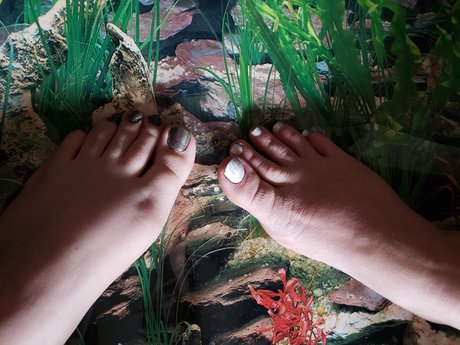 Yin1234 ポルノスター ヌード 写真