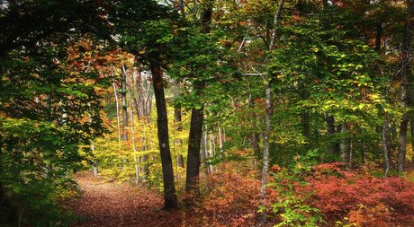 zachhh ポルノスター 裸 写真