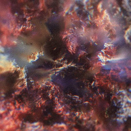 eartha klitt ポルノスター 画像