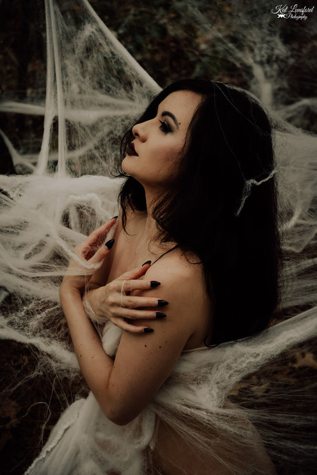 The Siam Fox 最高のスター アーカイブ