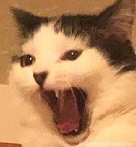 Mr Peach ホットなポルノスター 画像