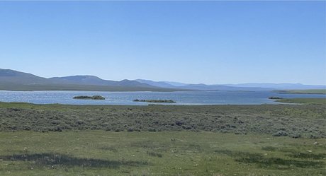 Boss ホットスター ギャラリー