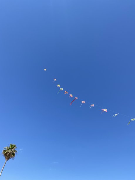 Royalpenny ヌードモデル 写真