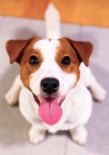 Winyl ヌードスター 写真