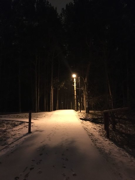 Elyse ポルノスター セクシー ギャラリー