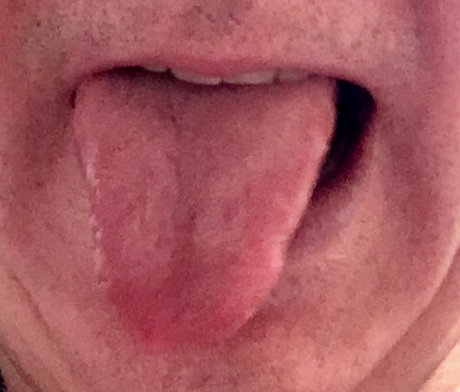 DutchBoy2540 限定スター 画像