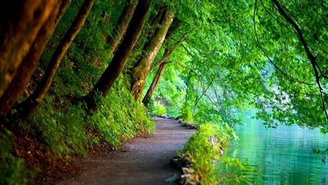 Xaea Zen 可愛いモデル アーカイブ