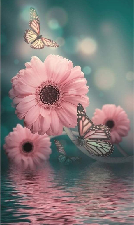 Eryka Ka h_ ポルノ女優 ギャラリー