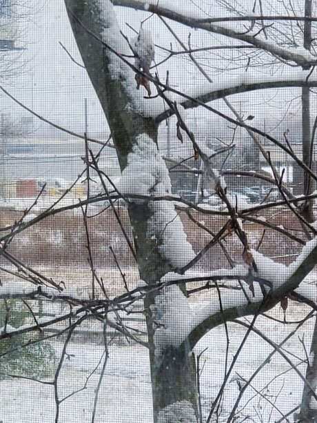 Norway ヌードモデル 写真