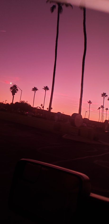 Bill Dill 高品質スター 写真