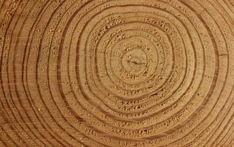 Beefstrokem off HDモデル ギャラリー