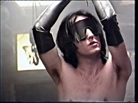 Peter D Vil トップスター 写真