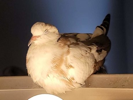 OnlyCoos アート女優 ギャラリー