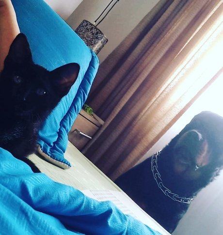 トゥインクスOnlyFans 美しいヌード 写真