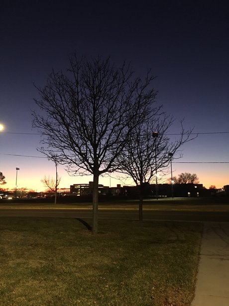 Aloys Yeh 素敵なスター 写真