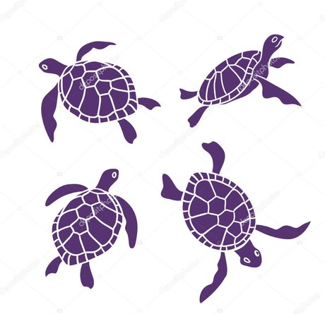 Riley Redding 完璧なモデル 画像