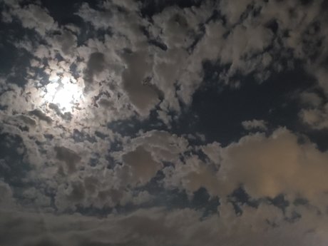 LittleD ポルノ女優 写真