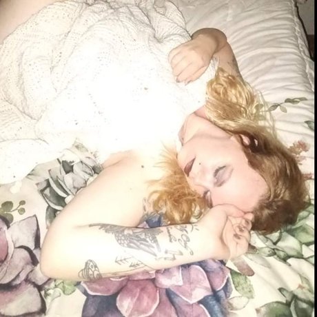 Winter Knight ホットスター 画像